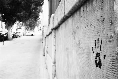 International Financial Institutions