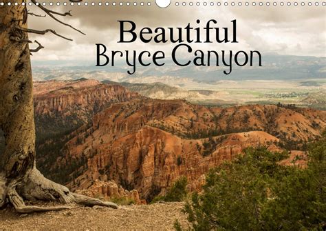 Buy Beautiful Bryce Canyon 2020: Bryce Canyon – famous for its unique ...