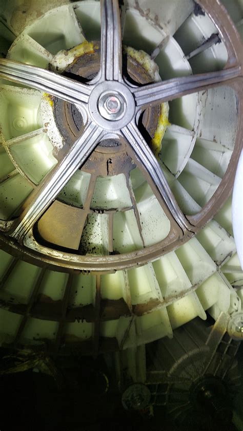 Washing Machine Explosion 的图像结果