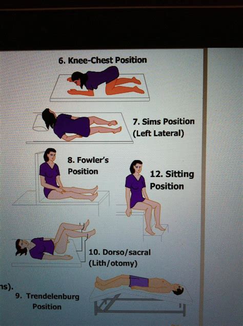 What Is Knee Chest Position at Irene Troyer blog