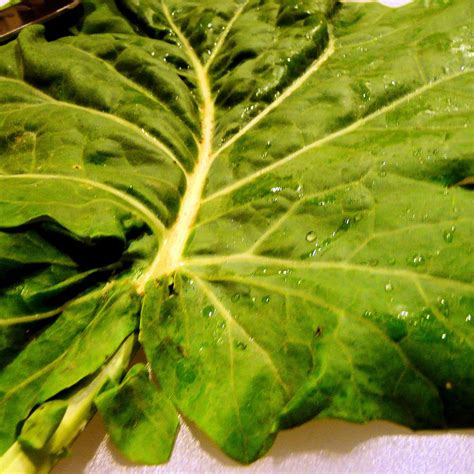 Sauteed Collard Greens | I Can Cook That