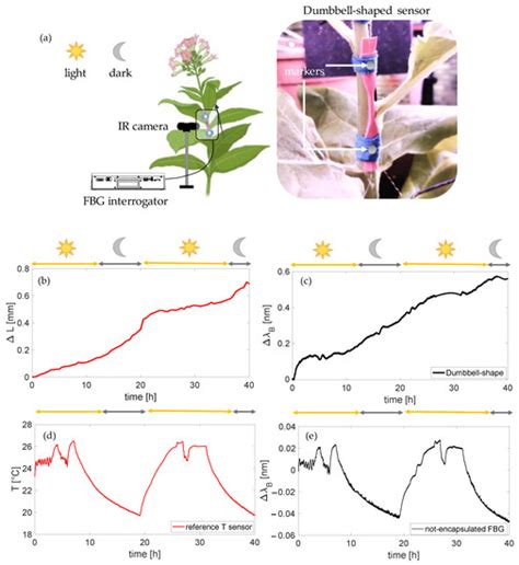 Plant Growth Monitoring: Design, Fabrication, and Feasibility ...