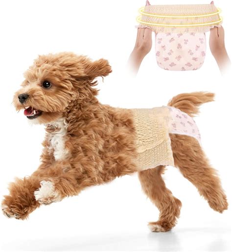 Amazon.com : Dog Diapers Female, Disposable Diapers for Female Dog with ...