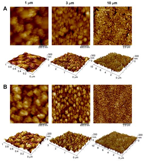 Decoration of Ultramicrotome-Cut Polymers with Silver Nanoparticles ...