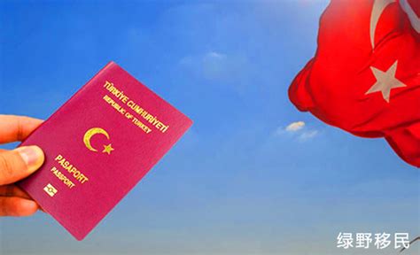 土耳其护照免签国家大集合！一本护照在手，世界任你遨游 - 澳臻移民