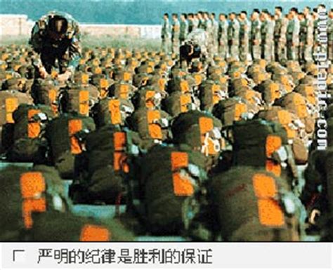 解放军空降兵特种大队模拟实战练艺砺胆：南方新闻网中国新闻