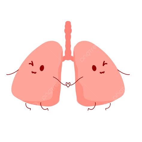 How To Draw Cartoon Lungs