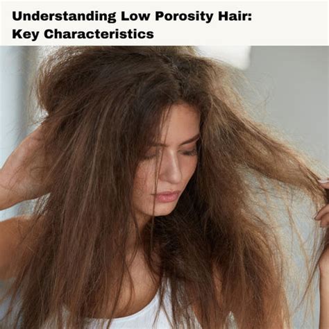 How to Care for Low Porosity Hair: Tips for Hydration | Clinikally