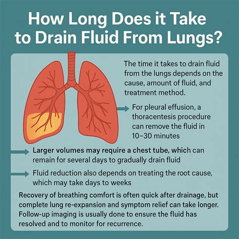 How Lungs Drain Fluid: The Natural Process Explained