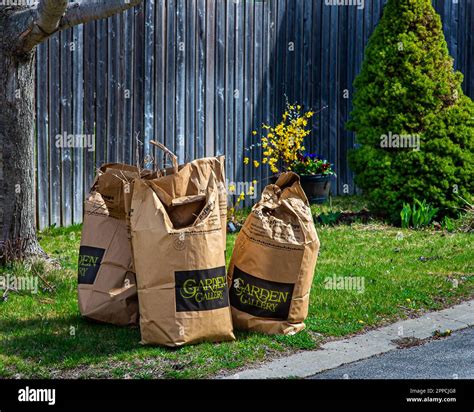 Bags with natural garden waste from spring work in gardens and squares ...