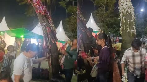 Visitors steal flowers, plants at Noida Flower Festival, spark outrage