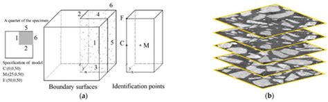 Numerical Analysis and Poromechanics Calculation for Saturated Mortar ...
