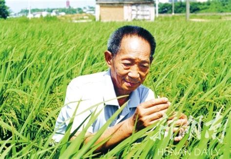 “杂交水稻之父”走了，留给我们无尽的思念_国内新闻_国内国际_新闻频道_福州新闻网