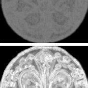 Image result for Entropy Filter Images