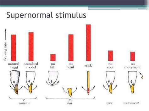 Behavior Definition 的图像结果