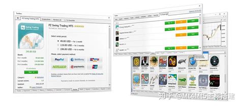 Video Tutorial On Using MT5 On PC 的图像结果