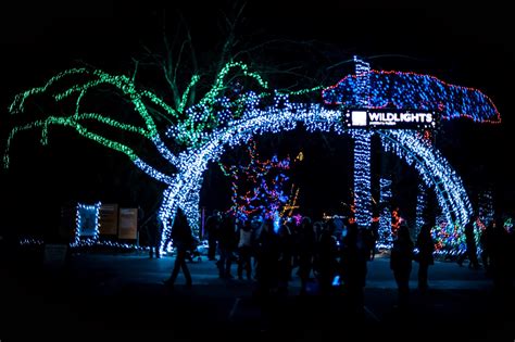 Alexander Chamas Photography: Wild Lights at the Woodland Park Zoo