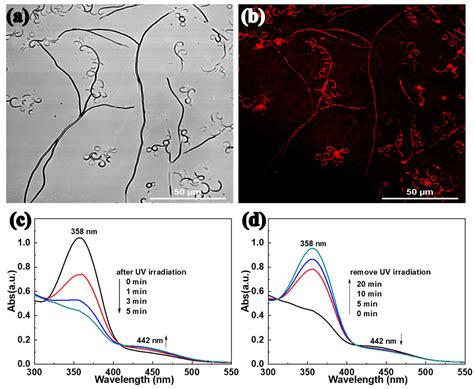 Luminous Self-Assembled Fibers of Azopyridines and Quantum Dots Enabled ...