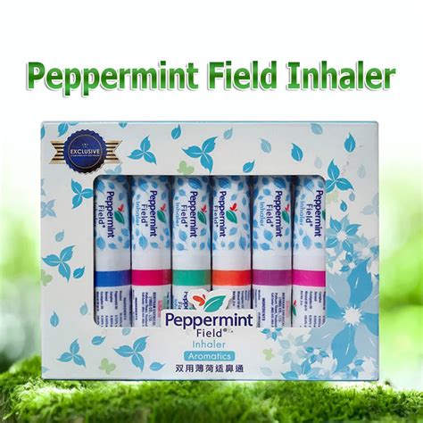 5 Pieces Nose Inhaler Thailand Mint Cylinde Refresh Brain Anti Fatigue ...