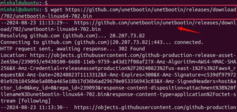UNetbootin USB Creation Guide for Ubuntu and Linux Systems