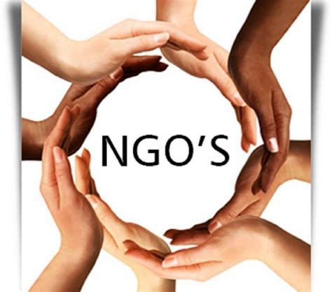 Role Of Government And Non-Governmental Organizations In Providing Healthcare To Tribal Communities