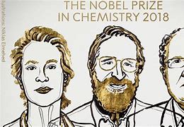 Image result for Chemistry Nobel 2023