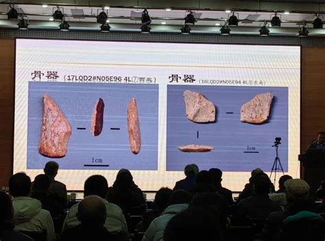 众多重大成果！看看洛阳考古“成绩单”-河南省文物局