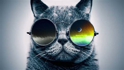 funky pictures.com