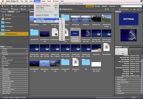 Image result for Adobe Bridge CS6 Tutorials