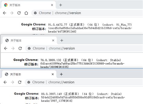 【转】Chrome 76版本、80版【便携版】-最新线报活动/教程攻略-0818团