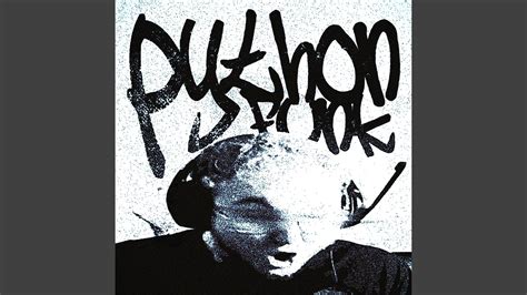 Python Funk Remix 的图像结果