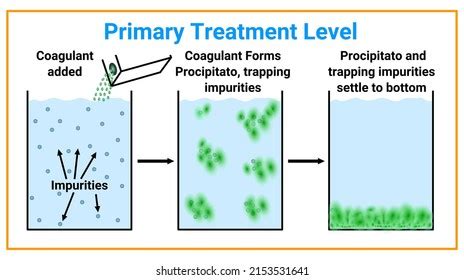 7,023 Primary treatment Images, Stock Photos & Vectors | Shutterstock