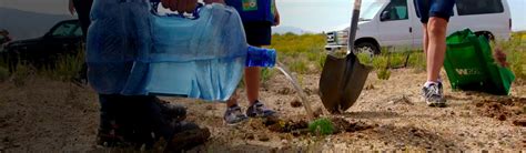 Stewardship 的图像结果