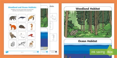 Woodland and Ocean Habitats Animal Sorting Worksheet / Worksheet
