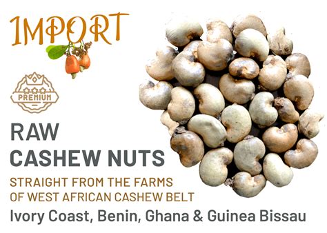 Raw Cashew Nuts and RCN Importers - Mudra Global