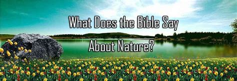 Image result for Healing Scriptures with Nature Sounds