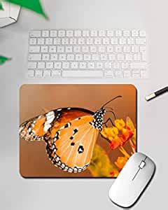 Deer Patch Creatives Butterfly Perching On Orange Flower Sublimation ...
