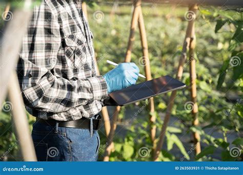 Farmers Use the Main Information Network in the Internet from Their ...