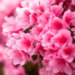Image result for Permutation and Combination Example Problems