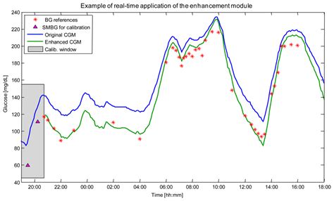 Italian Contributions to the Development of Continuous Glucose ...