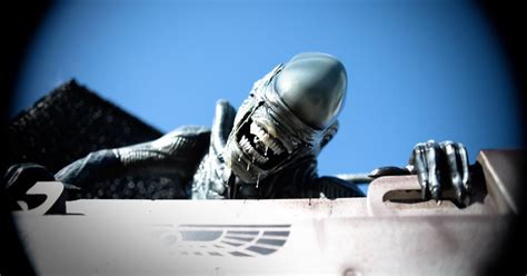 Image result for Alien Earth Cast Interviews