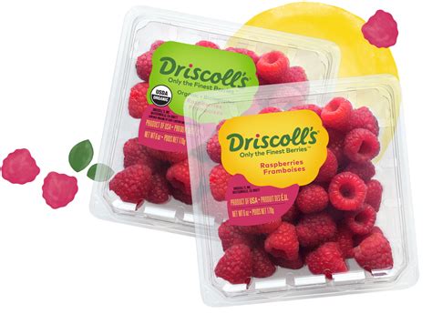 Raspberries & Organic Raspberries | Driscoll's