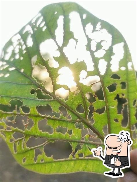 Menu at Ordnance Factory Canteen, Ordinance Factory Itarsi