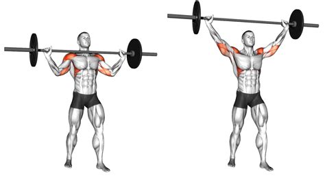 100+ Best Barbell Exercises Names (With Images)