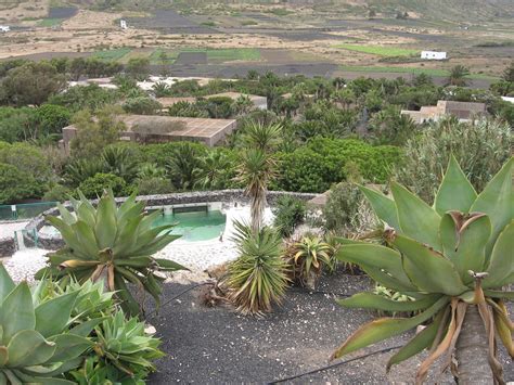 Cat Rescuing, Sunderland: LANZAROTE: ENCOUNTERS WITH ANIMALS PART 2 --GUINATE WILDLIFE PARK