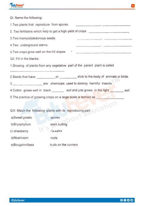 Image result for Science CBSE Class 5