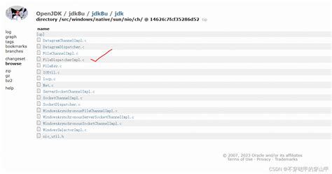 FileRead 的图像结果