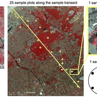 Image result for Transect Method Continuous Sampling