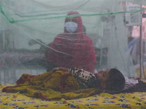 A Not So Favourable Balance Sheet of Malaria: Time To Reflect On ...