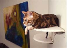 Modern Cat Furniture Design Ideas Wall Mounted Heated Beds by Modern Cat Furniture Design Ideas Wall Mounted And Heated Modern Cat Furniture Design Ideas Wall Mounted Heated Beds